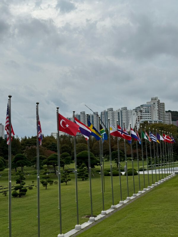 10822975-dff9-43be-bd53-c5007236c939 10822975-dff9-43be-bd53-c5007236c939