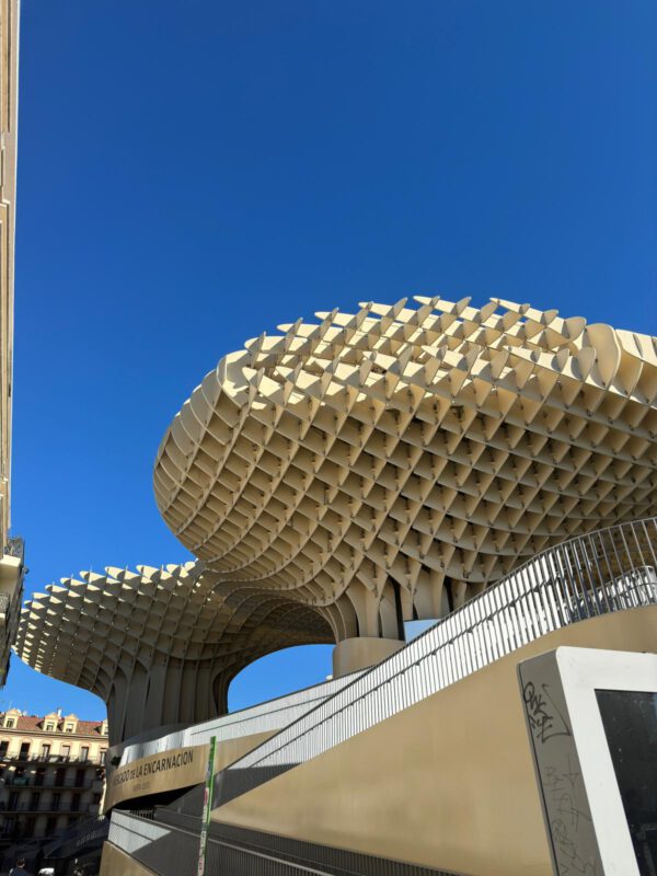 111CA99D-13CC-4B6F-816C-C8A9030EF713