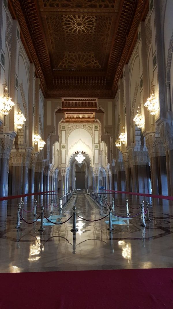 68db76fd-87f5-4913-9bf0-5b4ff1c18578 68db76fd-87f5-4913-9bf0-5b4ff1c18578