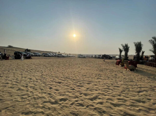 3A44F625-1F75-4B41-BC5F-3734B5ADB5E7