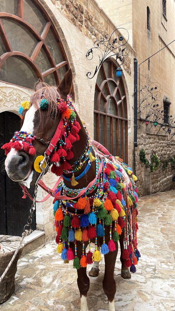 63f1af23-1c2e-4505-99e8-359748edac3b