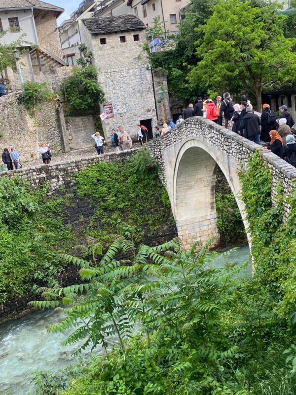 7ACCDA44-797A-4537-87B8-14BF5C9F0F7E