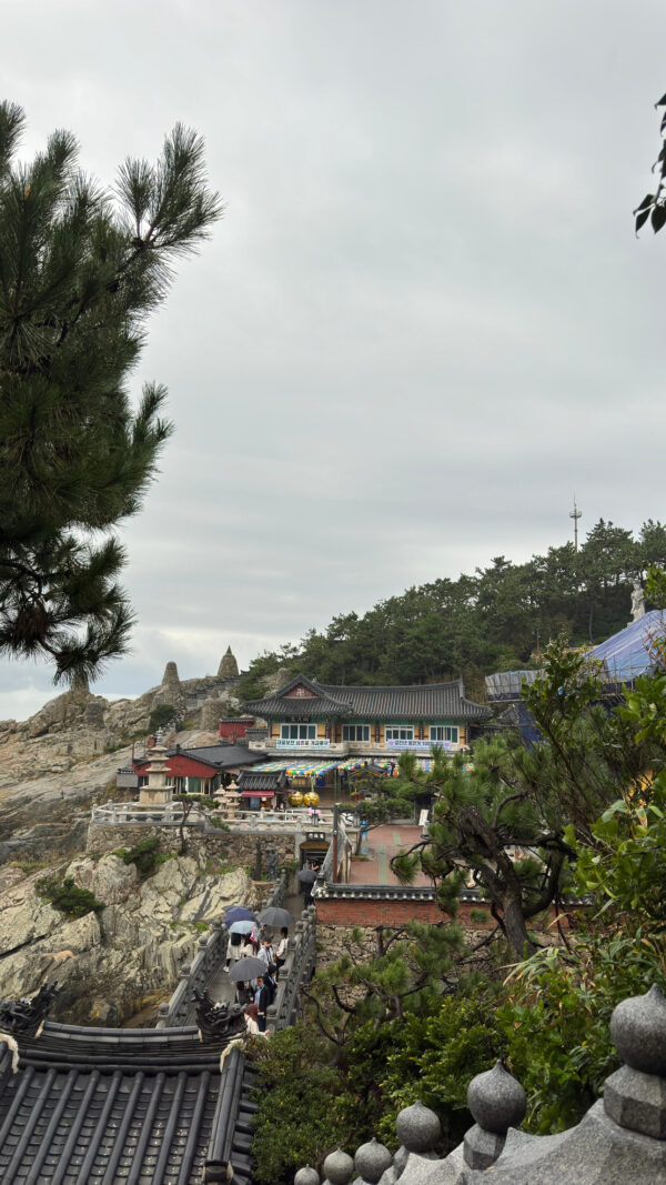 7D455B55-1866-40ED-9313-CC7181BD2211 7D455B55-1866-40ED-9313-CC7181BD2211