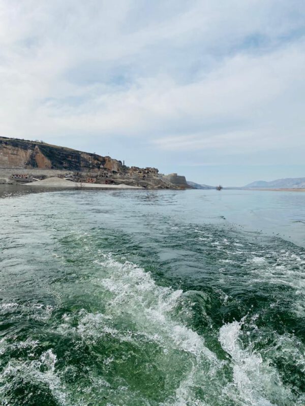 88c04618-e513-401d-b46a-23a8da21c4a0