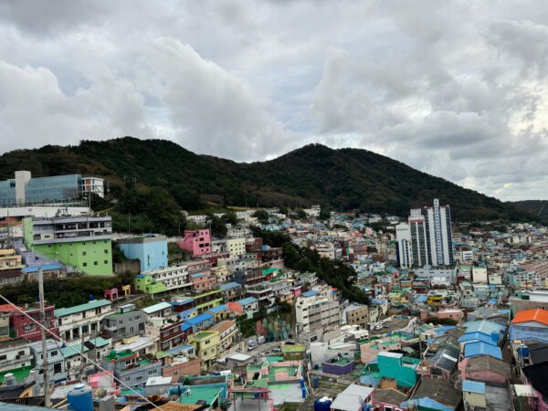 8ccca4da-6fb2-43b0-9541-aeba97197f92 8ccca4da-6fb2-43b0-9541-aeba97197f92