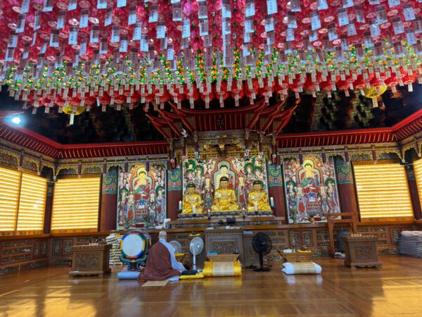 99c75994-2f7a-4f50-bd3c-b946c5c333e8 99c75994-2f7a-4f50-bd3c-b946c5c333e8