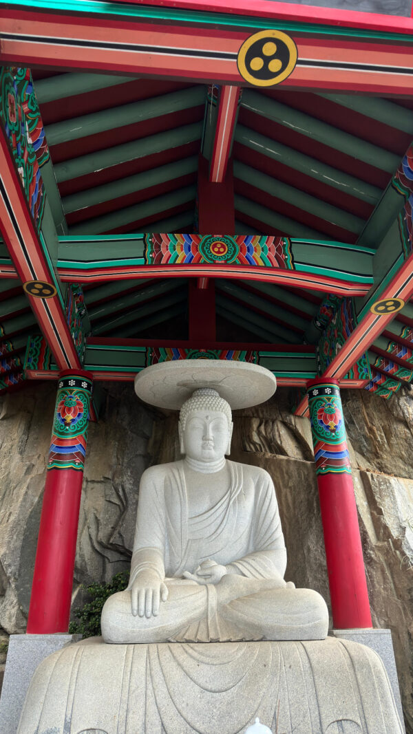 AD435D29-ABA6-46A0-8BA7-A032BE49344C AD435D29-ABA6-46A0-8BA7-A032BE49344C