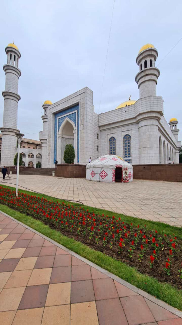 B8B20EC7-F513-4C99-8C93-E1F8F5ED13B7