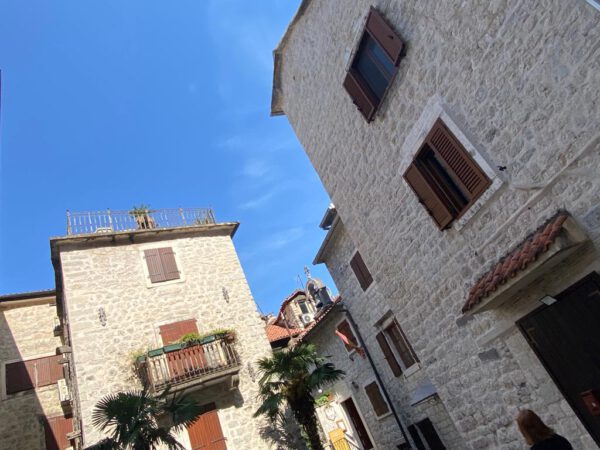 DA0BCE21-B402-4D61-8B51-47D6CA62539C