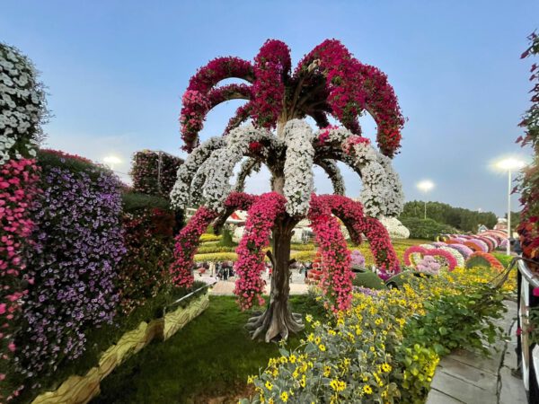 WhatsApp Image 2022-09-30 at 14.03.29