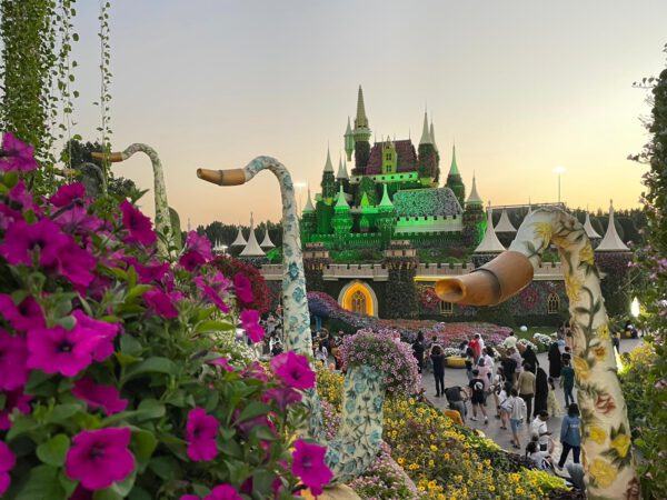 WhatsApp Image 2022-09-30 at 14.03.31 (1)