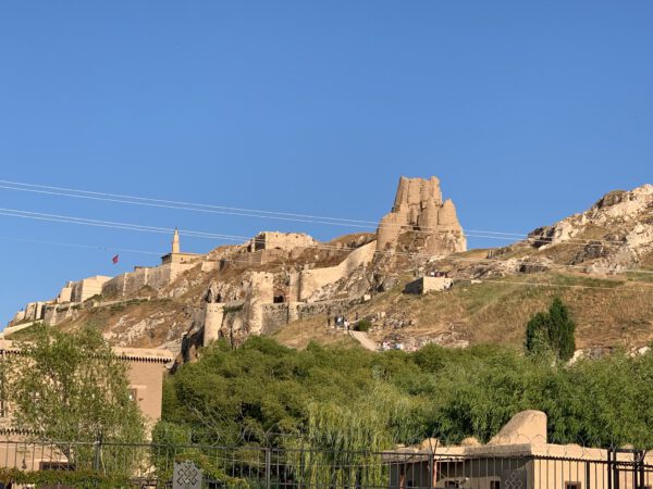 WhatsApp Image 2026-01-10 at 09.09.54 WhatsApp Image 2026-01-10 at 09.09.54