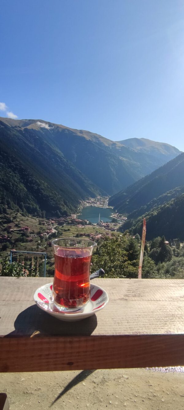 WhatsApp Image 2026-01-10 at 09.12.11