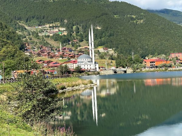 WhatsApp Image 2026-01-10 at 09.12.12