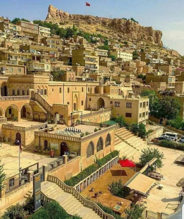 WhatsApp Image 2026-01-10 at 09.19.18 WhatsApp Image 2026-01-10 at 09.19.18