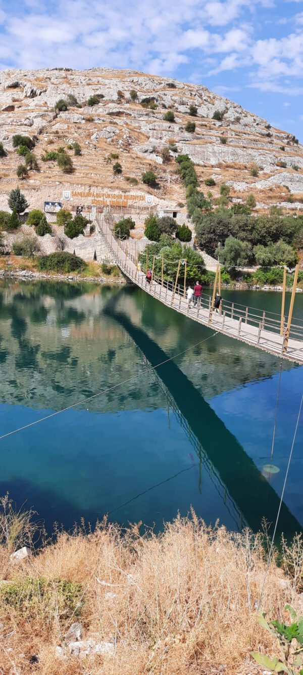 WhatsApp Image 2026-01-10 at 09.19.20 WhatsApp Image 2026-01-10 at 09.19.20