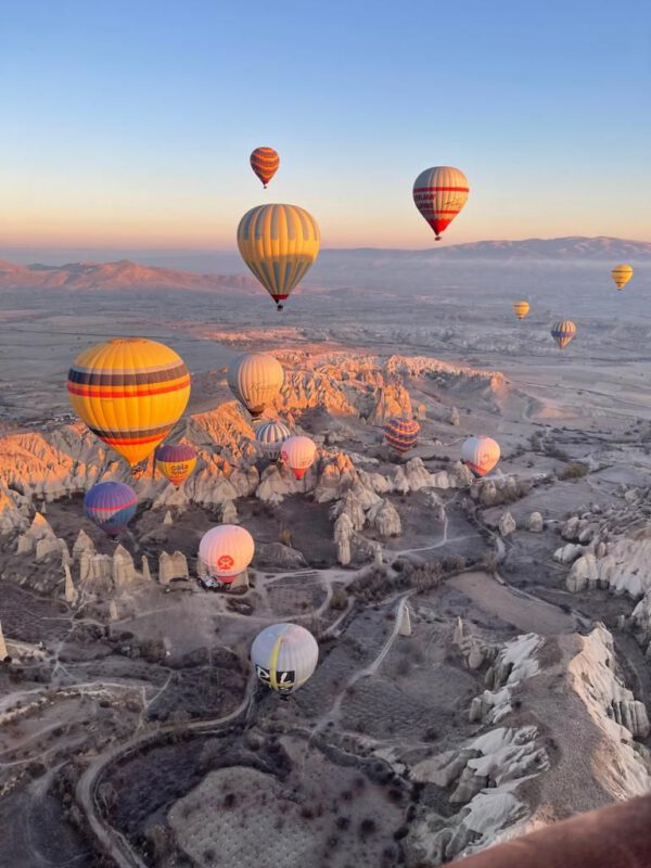 WhatsApp Image 2026-01-10 at 09.35.32 (2) WhatsApp Image 2026-01-10 at 09.35.32 (2)