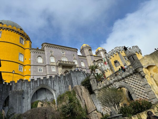 WhatsApp Image 2026-01-10 at 11.54.25 (2)