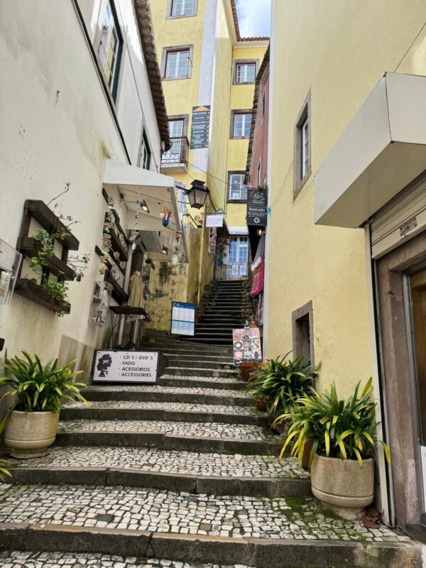 WhatsApp Image 2026-01-10 at 11.54.25 (4) WhatsApp Image 2026-01-10 at 11.54.25 (4)