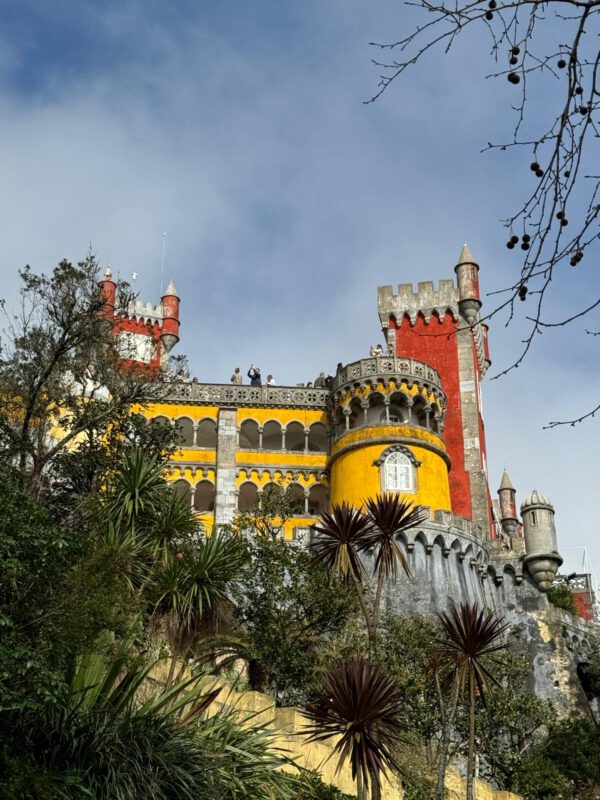 WhatsApp Image 2026-01-10 at 11.54.25 WhatsApp Image 2026-01-10 at 11.54.25