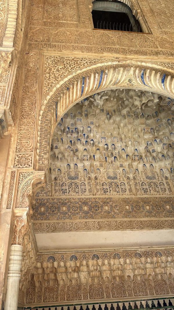 WhatsApp Image 2026-01-10 at 11.58.47 (3) WhatsApp Image 2026-01-10 at 11.58.47 (3)