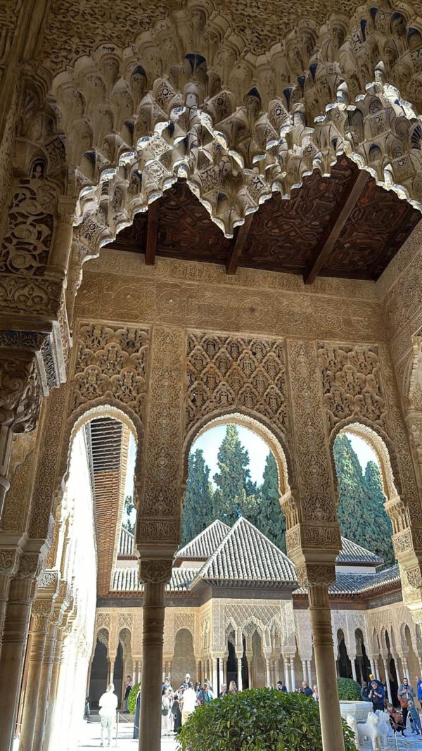 WhatsApp Image 2026-01-10 at 11.58.47 (4) WhatsApp Image 2026-01-10 at 11.58.47 (4)