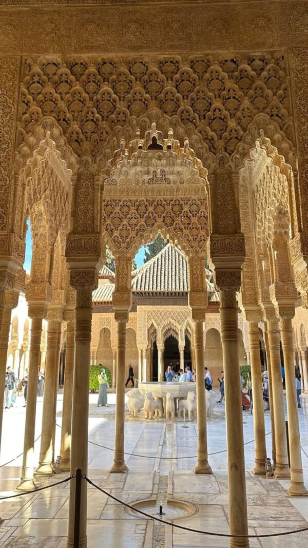 WhatsApp Image 2026-01-10 at 11.58.47 (5) WhatsApp Image 2026-01-10 at 11.58.47 (5)