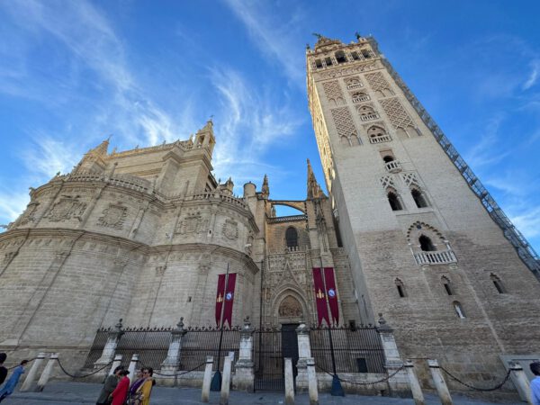 WhatsApp Image 2026-01-10 at 12.00.58 (3) WhatsApp Image 2026-01-10 at 12.00.58 (3)