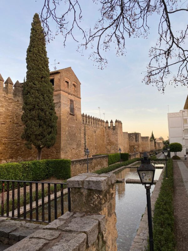 WhatsApp Image 2026-01-10 at 12.02.51 (2) WhatsApp Image 2026-01-10 at 12.02.51 (2)