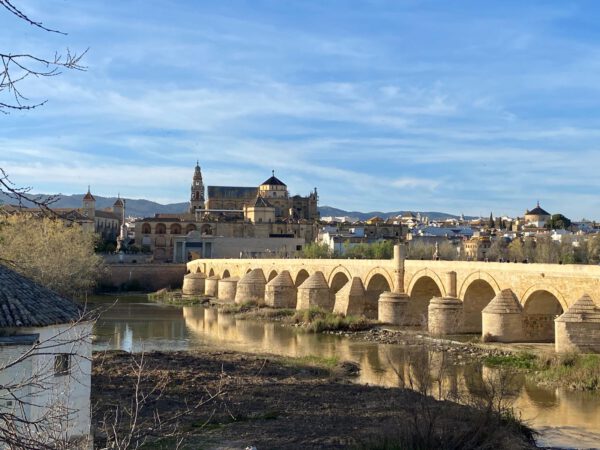 WhatsApp Image 2026-01-10 at 12.02.51 (5) WhatsApp Image 2026-01-10 at 12.02.51 (5)