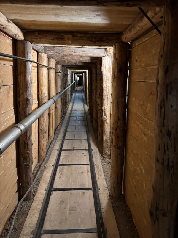 WhatsApp Image 2026-01-10 at 14.40.49 (6) WhatsApp Image 2026-01-10 at 14.40.49 (6)