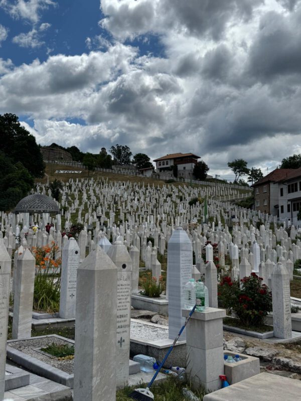 WhatsApp Image 2026-01-10 at 14.40.49 WhatsApp Image 2026-01-10 at 14.40.49