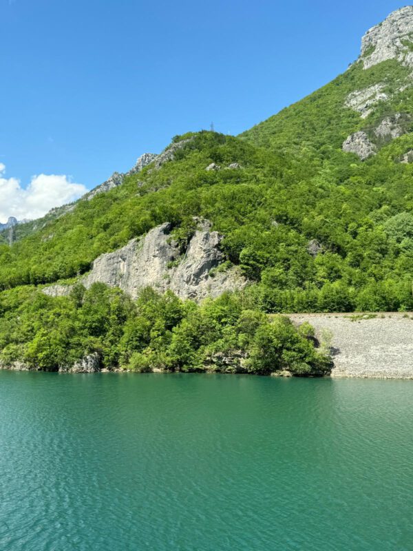 WhatsApp Image 2026-01-10 at 14.41.01 WhatsApp Image 2026-01-10 at 14.41.01