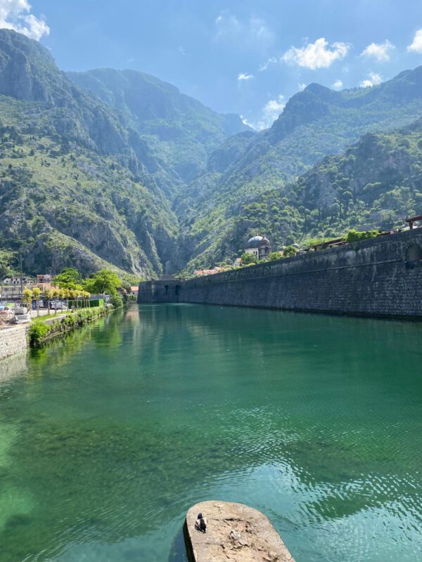 WhatsApp Image 2026-01-10 at 20.09.32 (1)