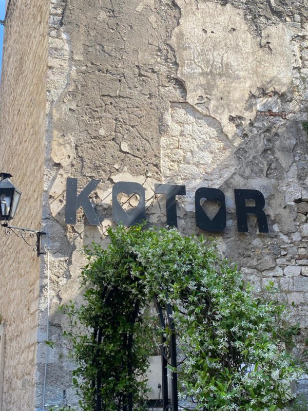 WhatsApp Image 2026-01-10 at 20.09.32 (6)