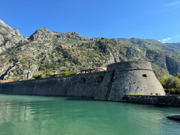 WhatsApp Image 2026-01-10 at 20.09.32