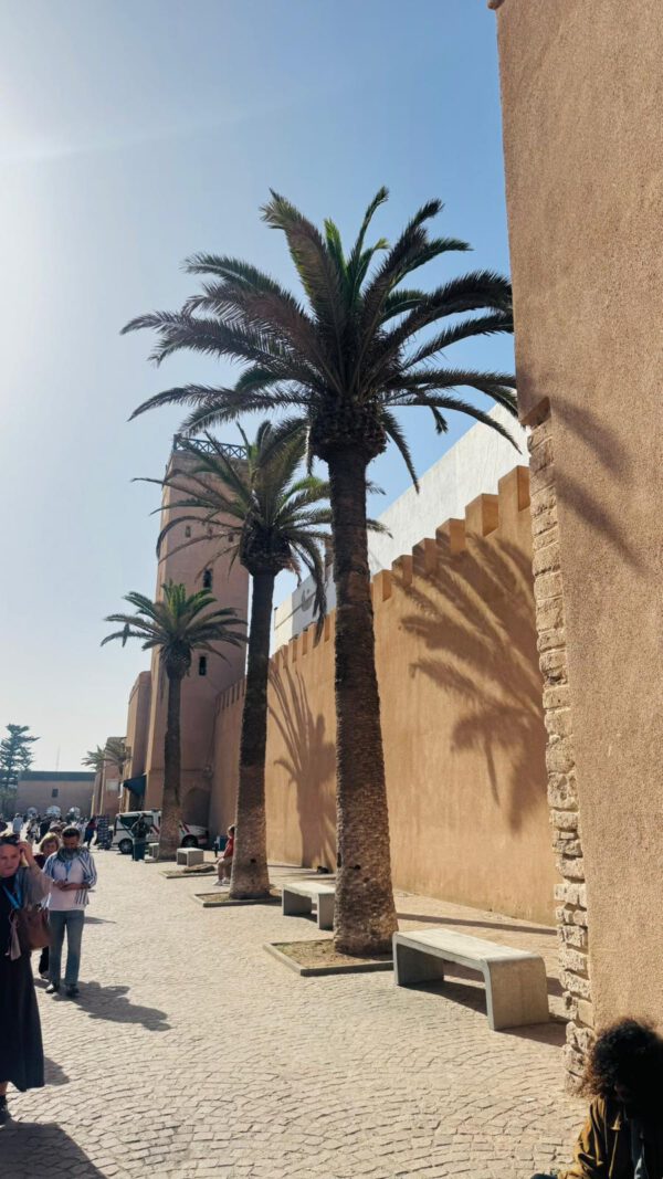 WhatsApp Image 2026-01-10 at 20.16.00 (2) WhatsApp Image 2026-01-10 at 20.16.00 (2)