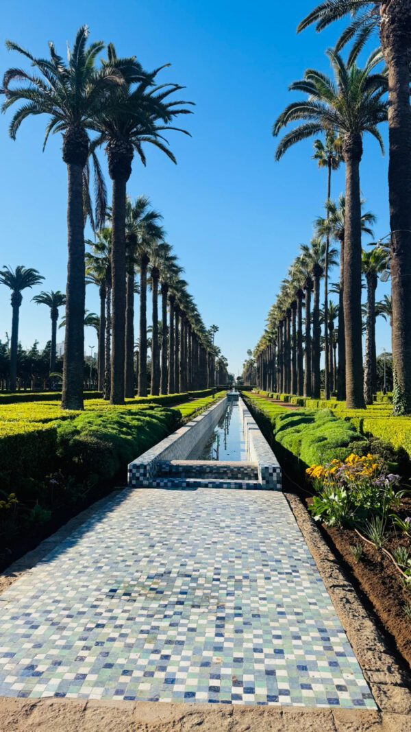 WhatsApp Image 2026-01-10 at 20.16.00 (4) WhatsApp Image 2026-01-10 at 20.16.00 (4)