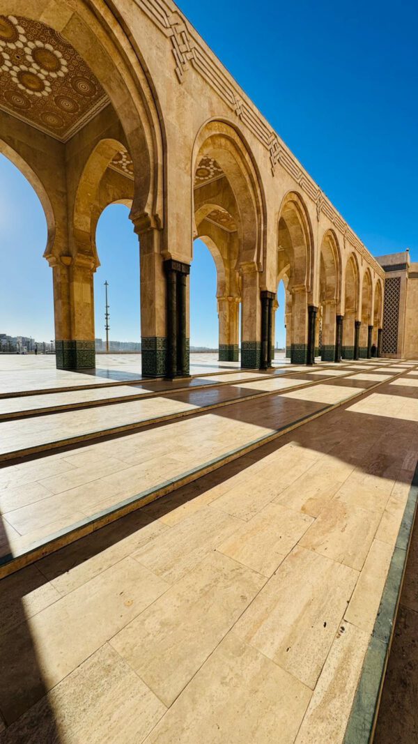 WhatsApp Image 2026-01-10 at 20.16.01 (2) WhatsApp Image 2026-01-10 at 20.16.01 (2)