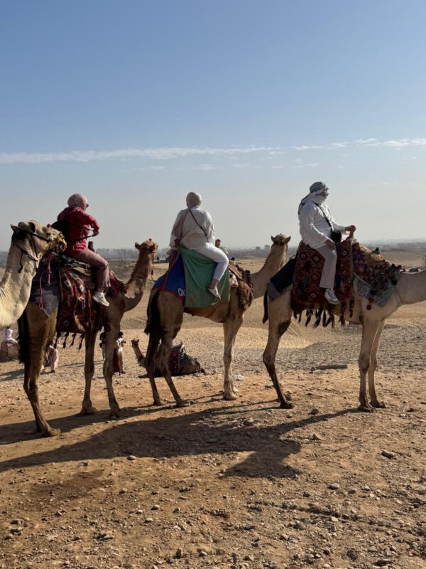 WhatsApp Image 2026-01-11 at 15.29.47 (2) WhatsApp Image 2026-01-11 at 15.29.47 (2)