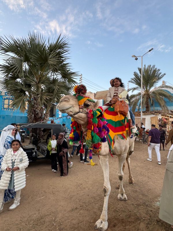 WhatsApp Image 2026-01-11 at 15.29.47 (5) WhatsApp Image 2026-01-11 at 15.29.47 (5)