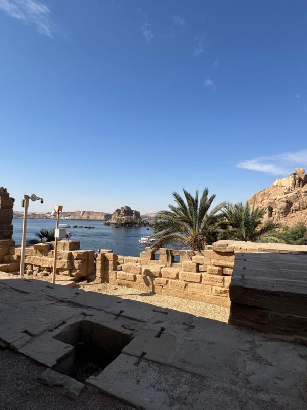 WhatsApp Image 2026-01-11 at 15.29.47 (9) WhatsApp Image 2026-01-11 at 15.29.47 (9)