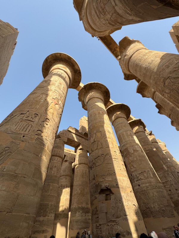 WhatsApp Image 2026-01-11 at 15.29.48 (5) WhatsApp Image 2026-01-11 at 15.29.48 (5)