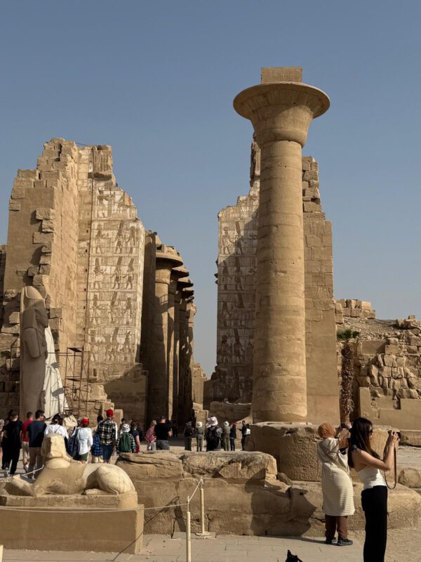 WhatsApp Image 2026-01-11 at 15.29.48 (6) WhatsApp Image 2026-01-11 at 15.29.48 (6)