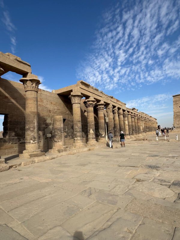 WhatsApp Image 2026-01-11 at 15.29.48 WhatsApp Image 2026-01-11 at 15.29.48