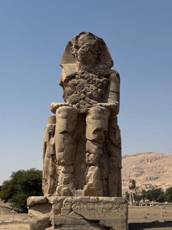 WhatsApp Image 2026-01-11 at 15.29.48 (7) WhatsApp Image 2026-01-11 at 15.29.48 (7)