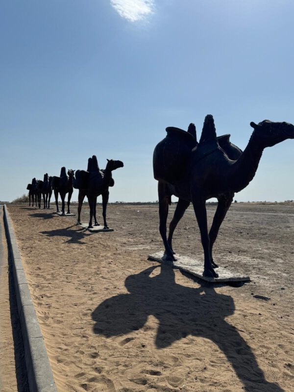 WhatsApp Image 2026-01-13 at 10.49.55 WhatsApp Image 2026-01-13 at 10.49.55