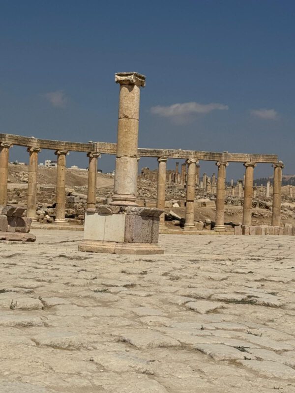 WhatsApp Image 2026-01-13 at 16.15.56