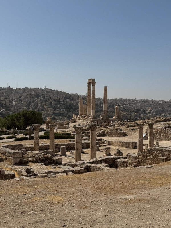 WhatsApp Image 2026-01-13 at 16.15.57 (3)