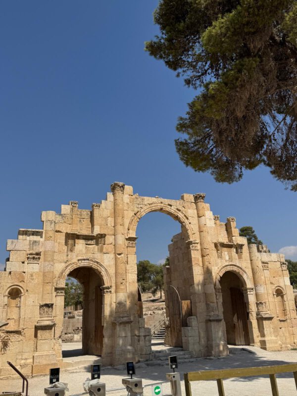 WhatsApp Image 2026-01-13 at 16.15.57